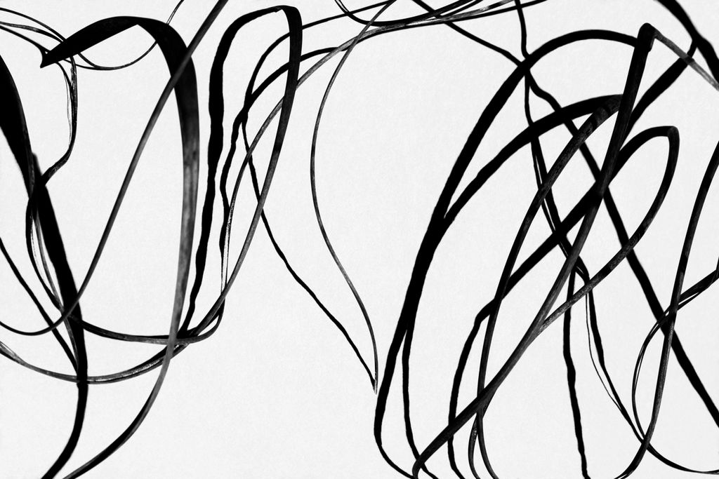 “I want my pictures to create an impression a feeling by holding onto a moment in nature that would otherwise be lost as...