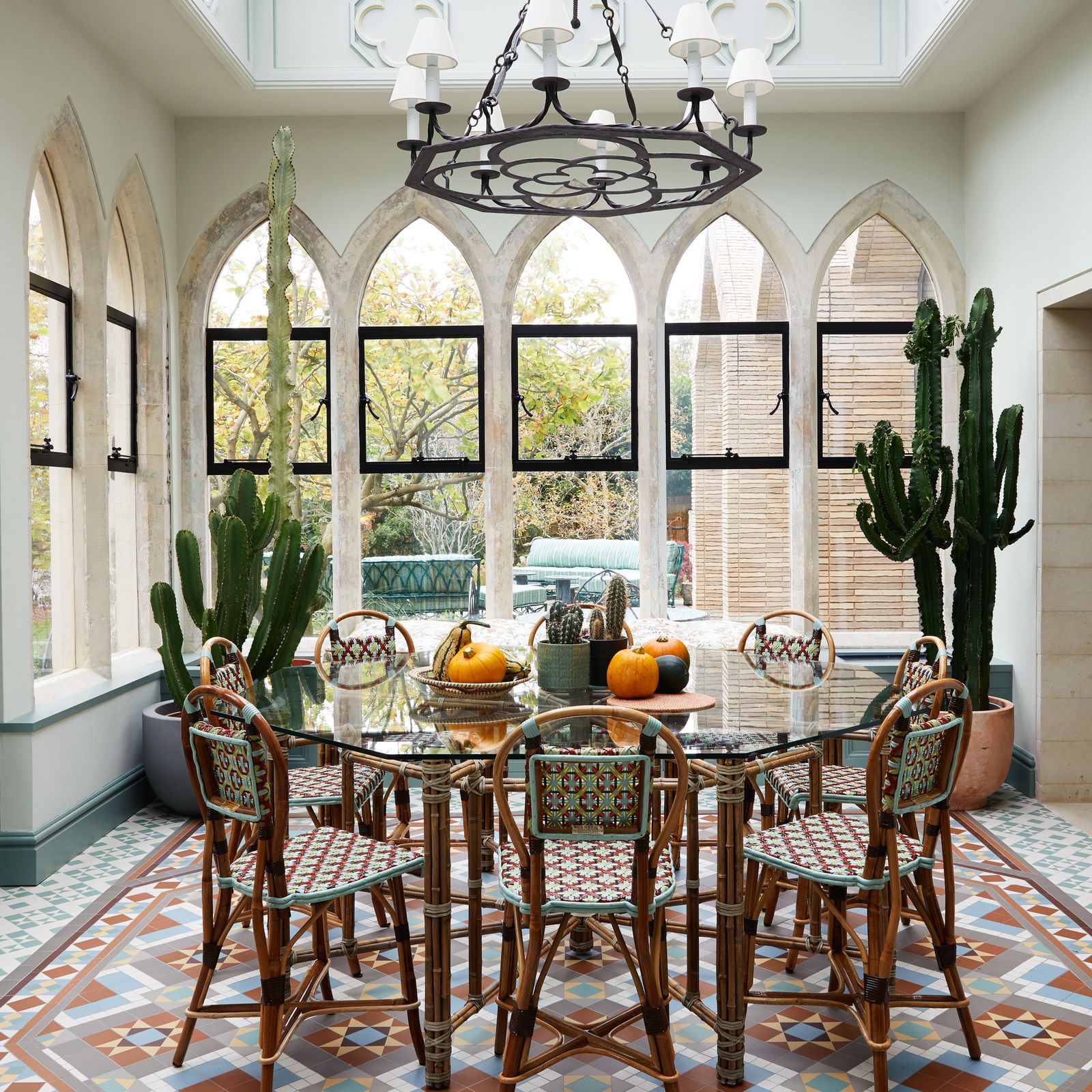 Houseplants that can withstand central heating